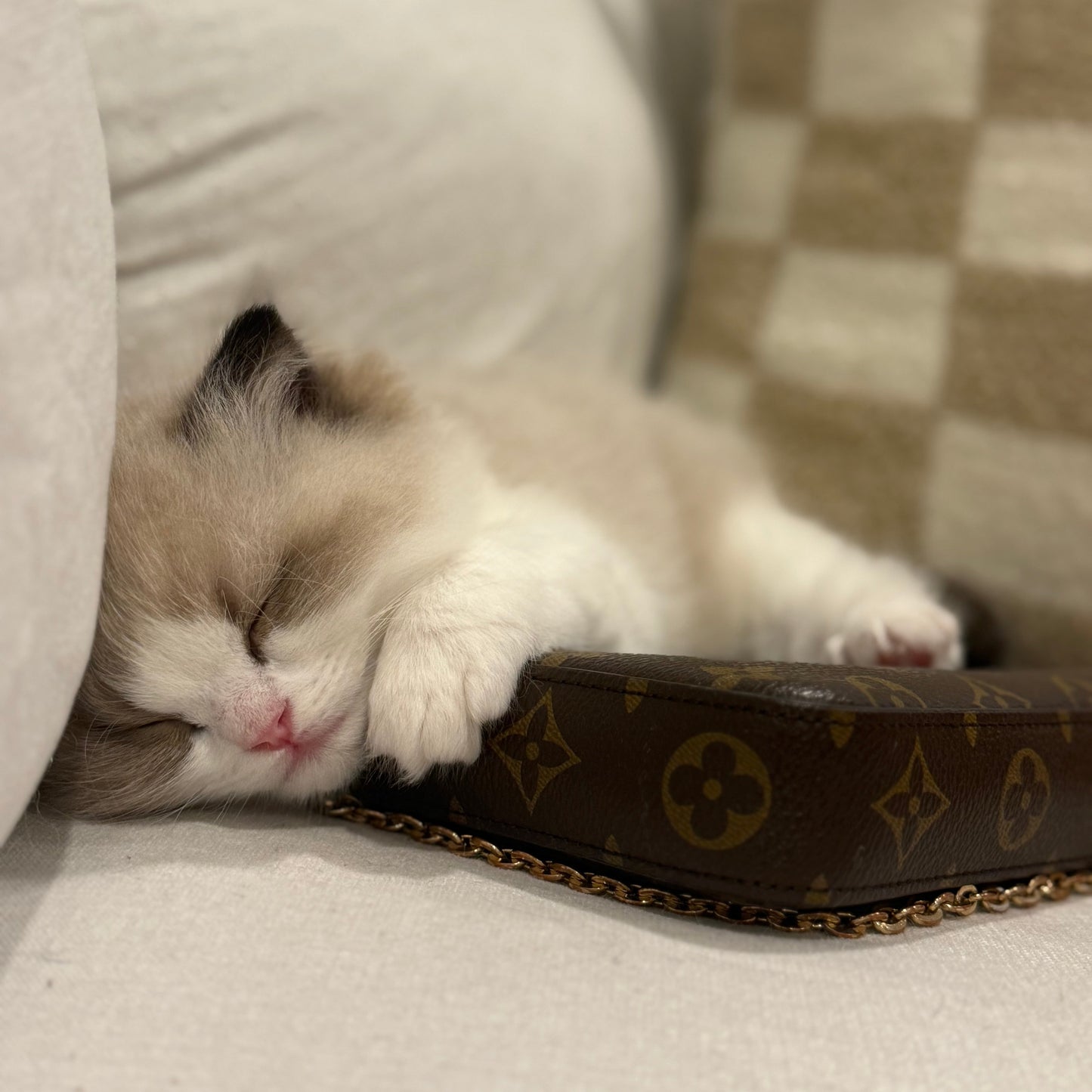 Whisky