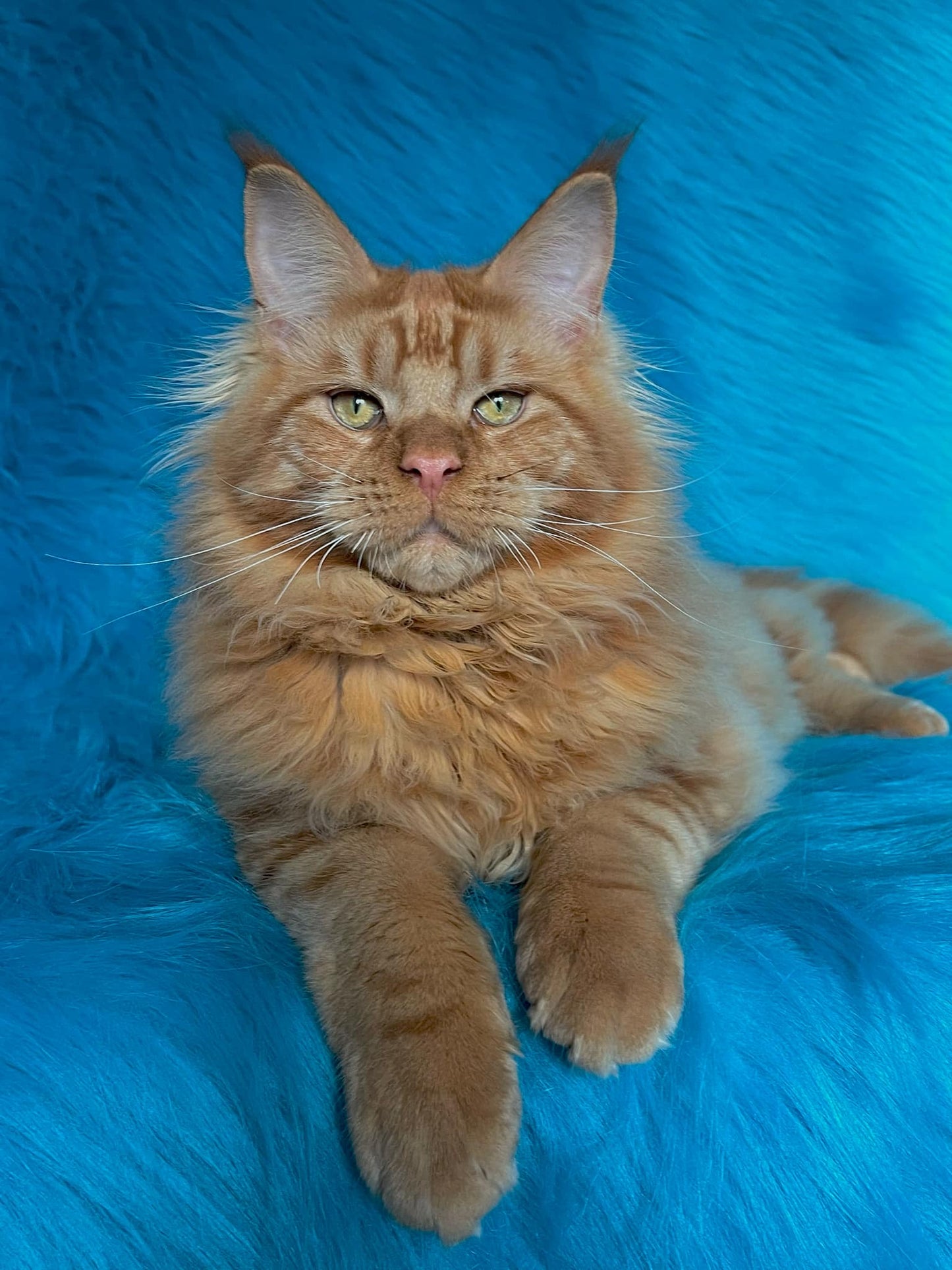 Barry