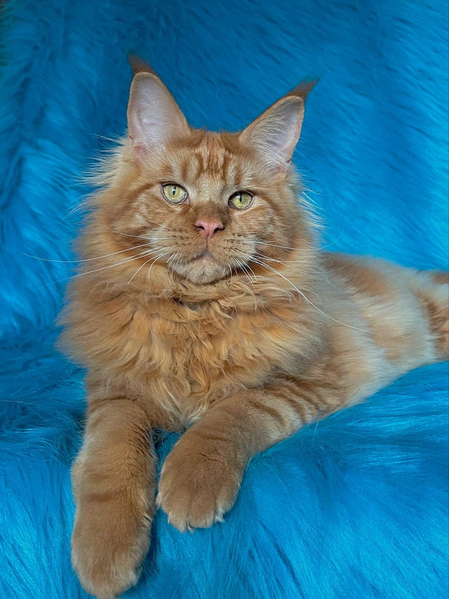 Barry