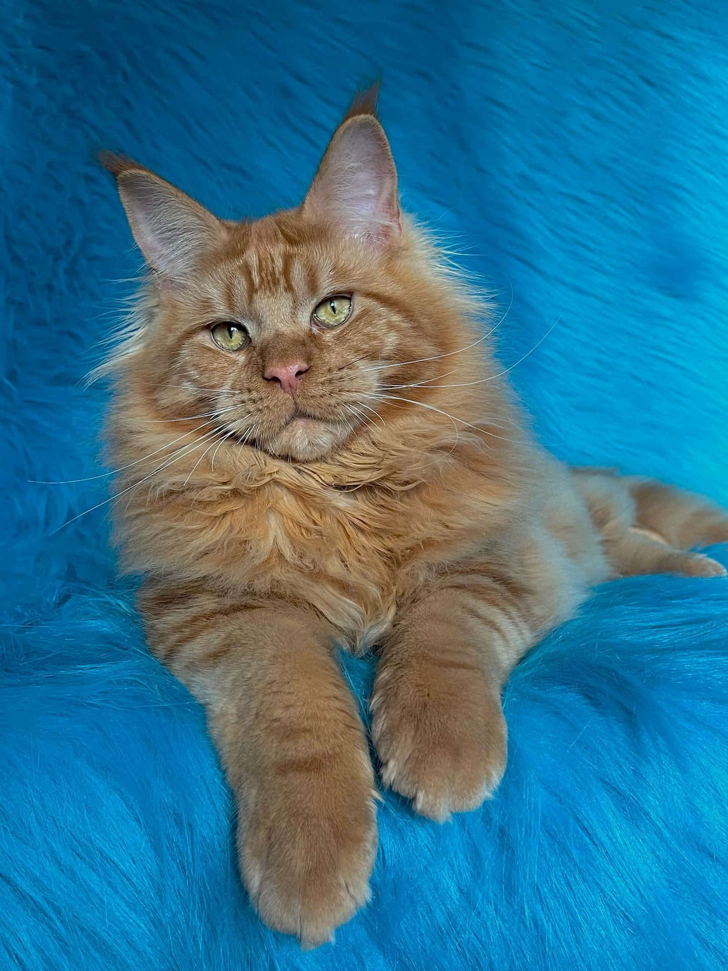 Barry