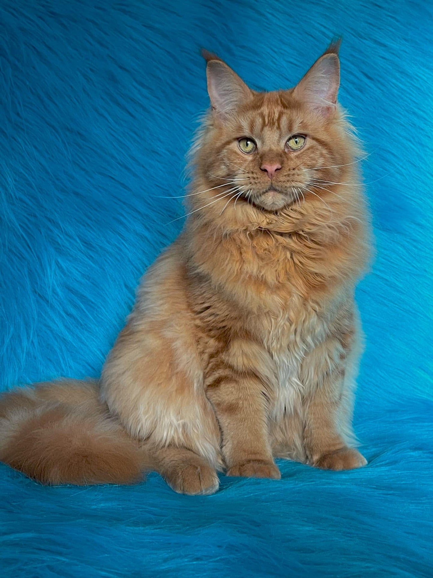 Barry