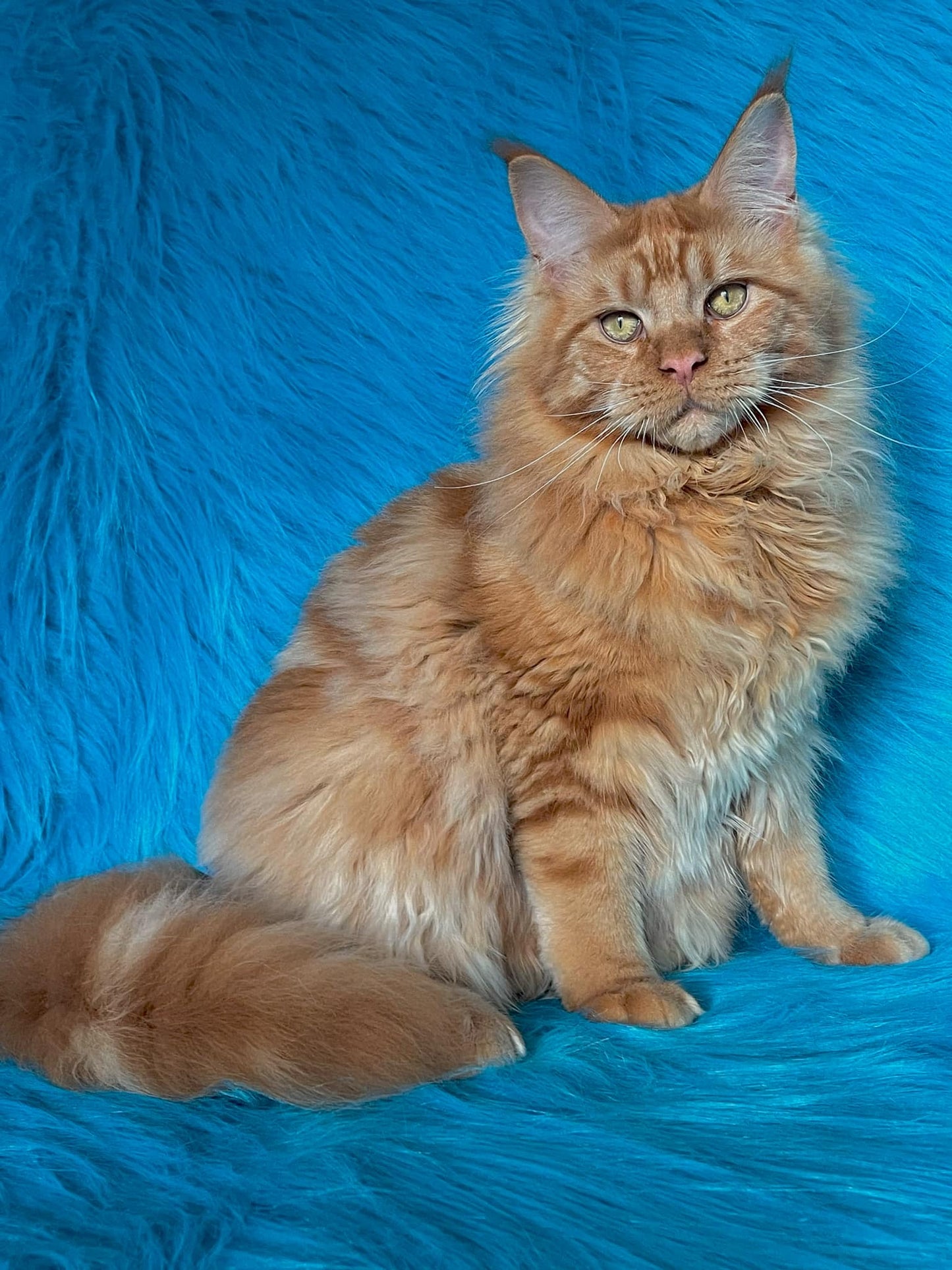 Barry