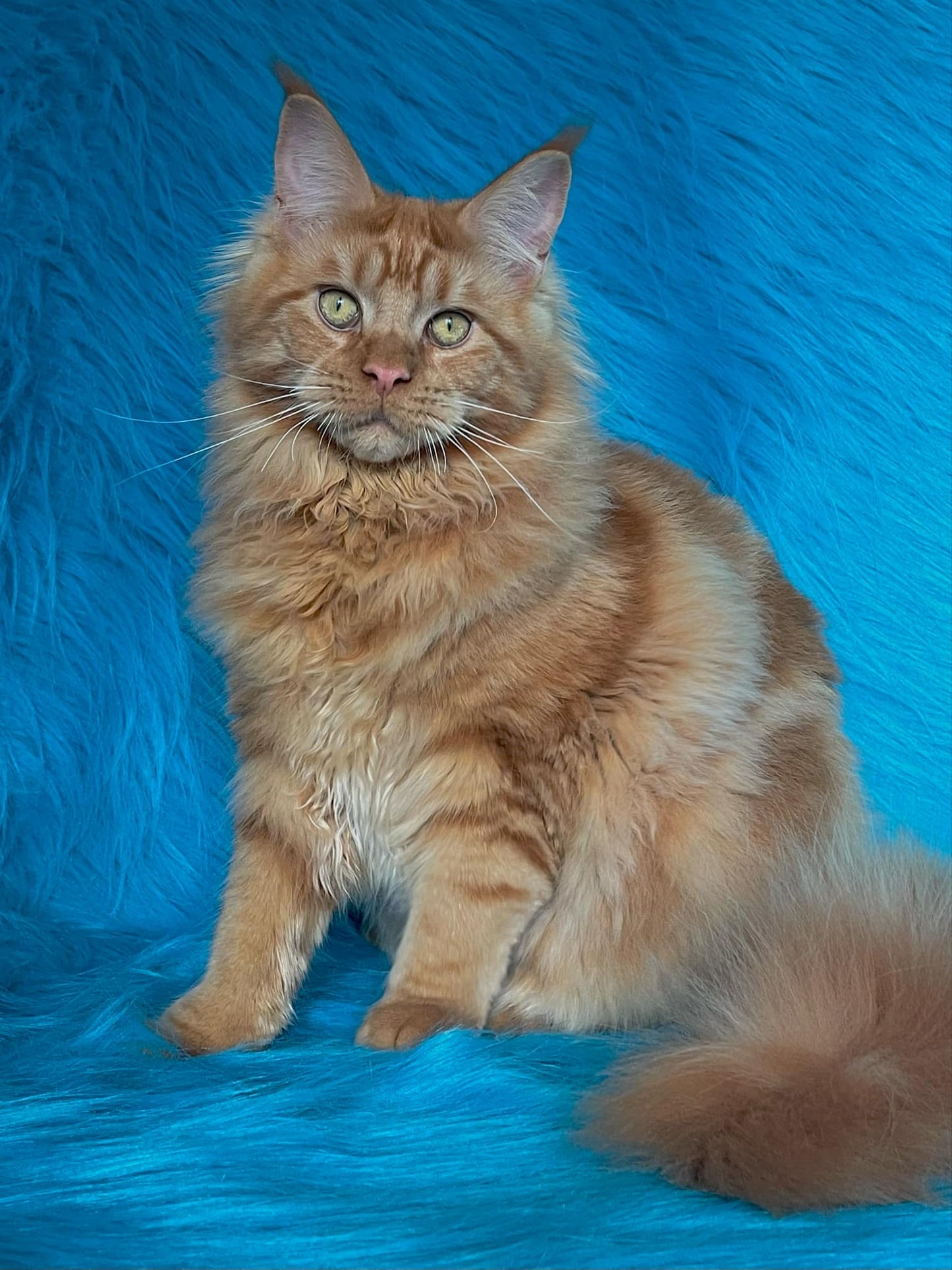 Barry