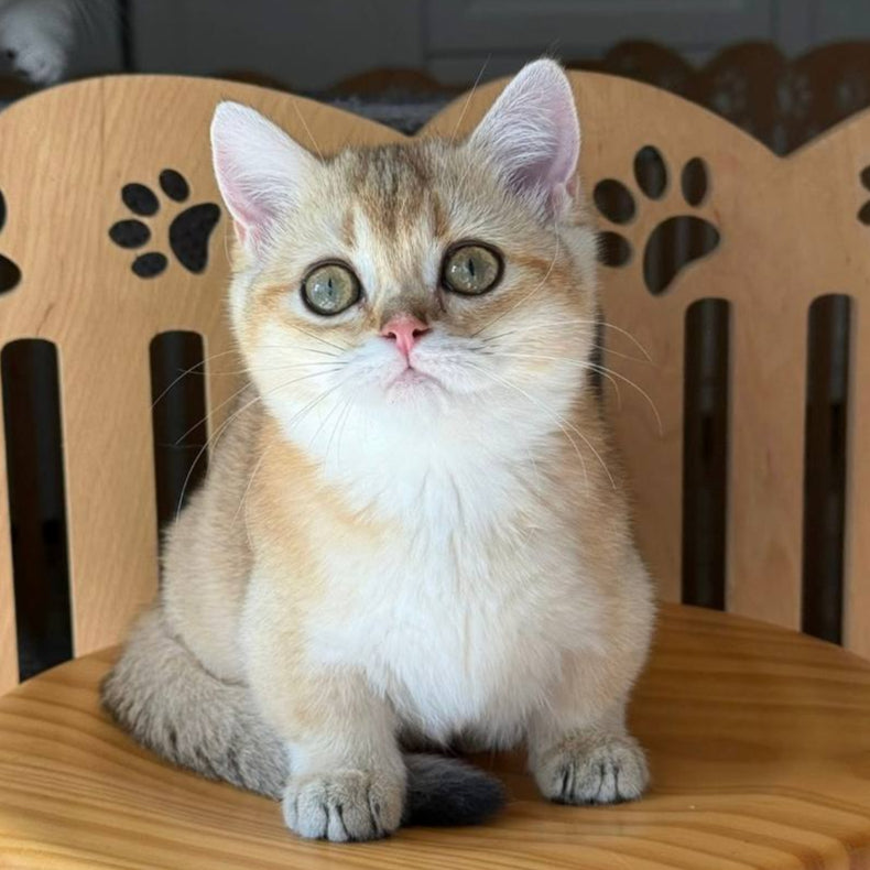 Yuka