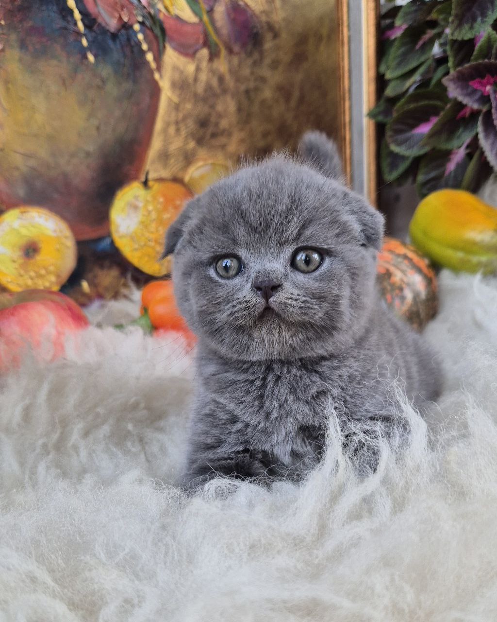 George