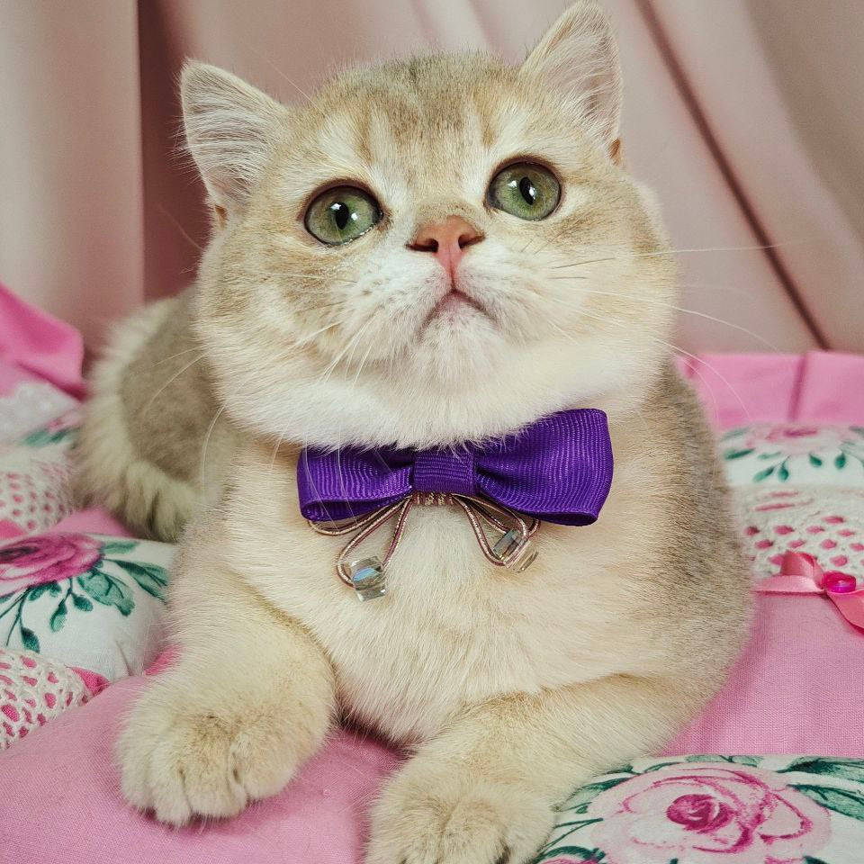 Elvis