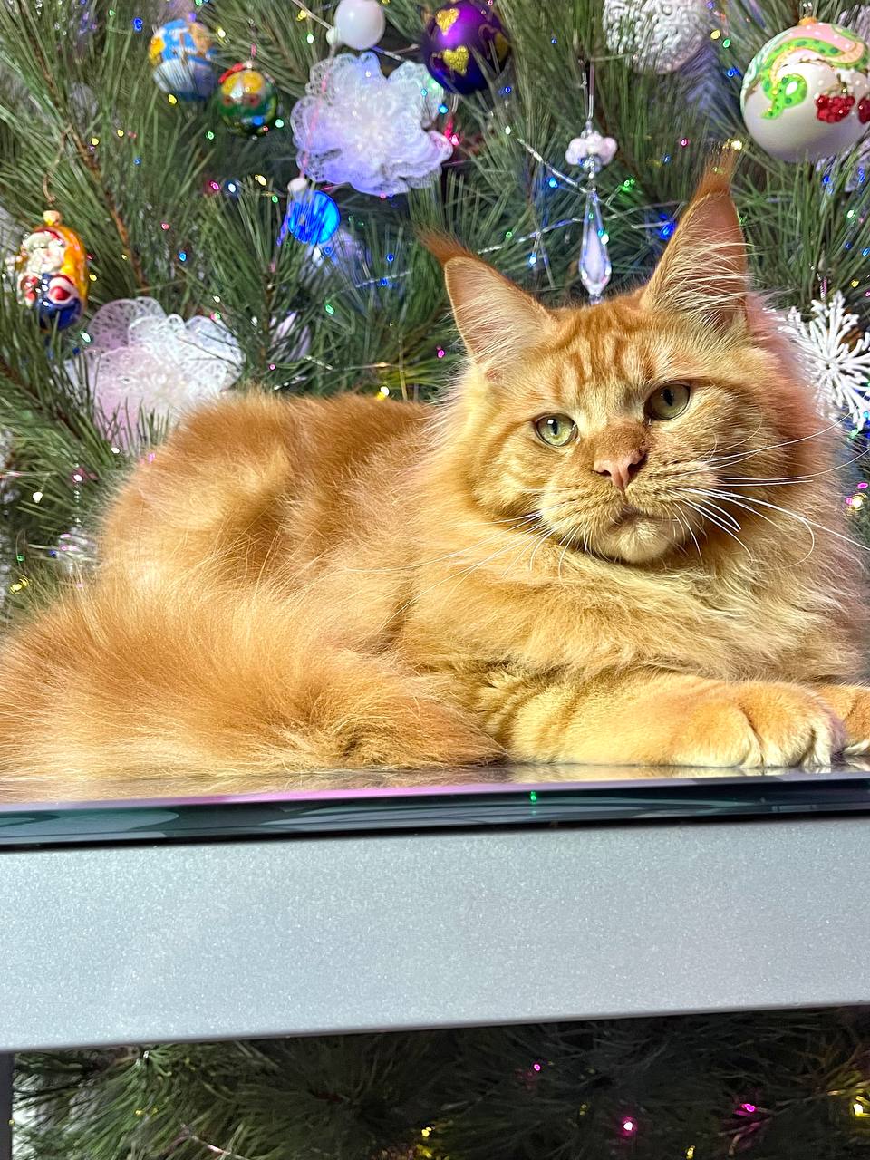Barry