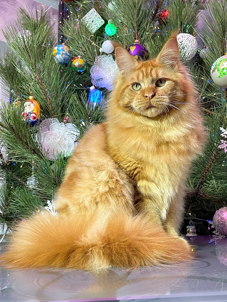 Barry