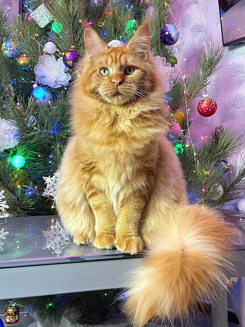 Barry