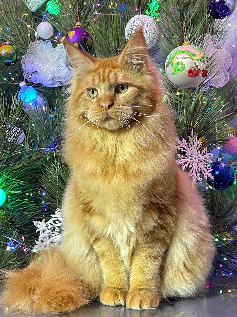 Barry