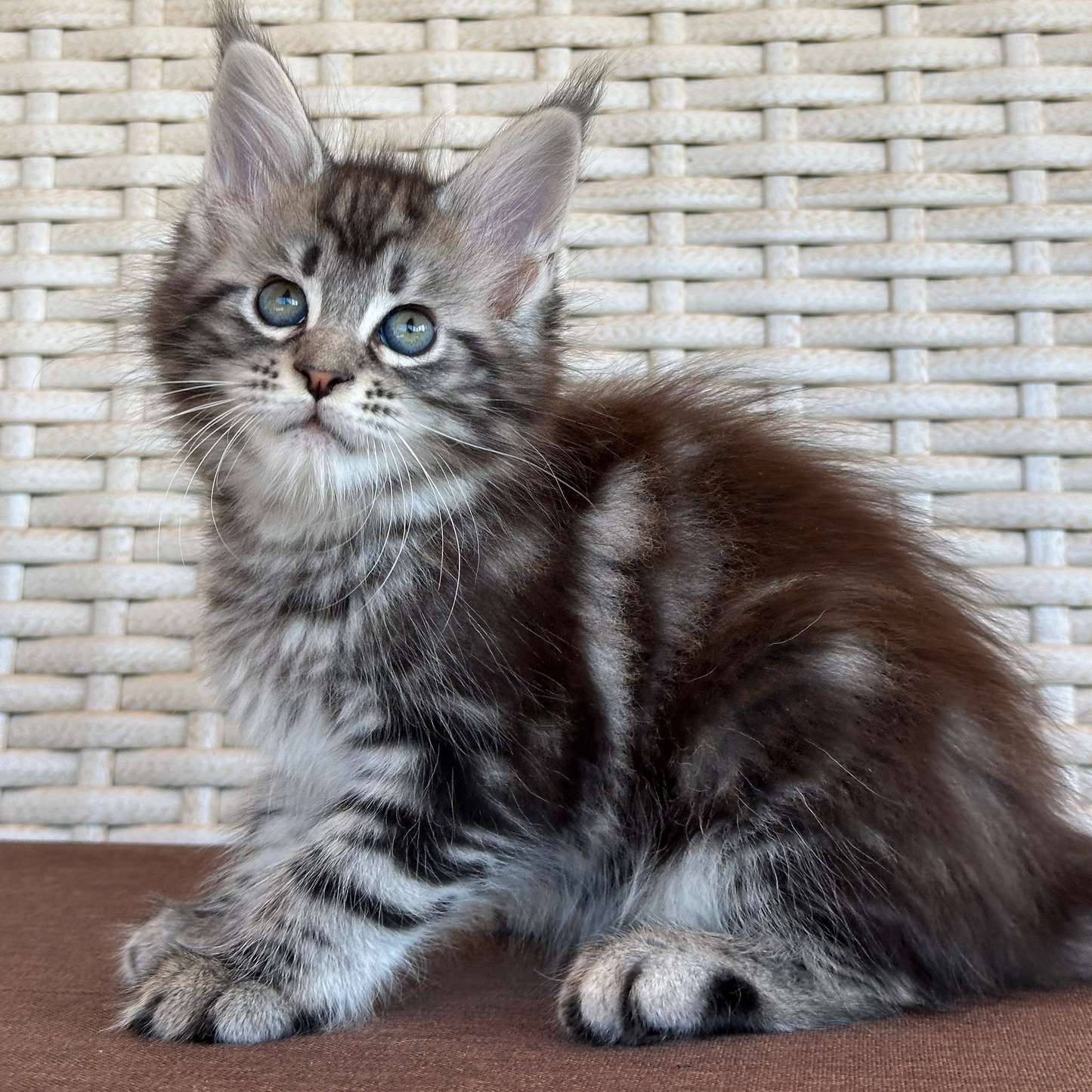 Lilu