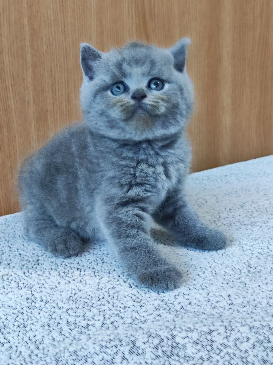 Barbara