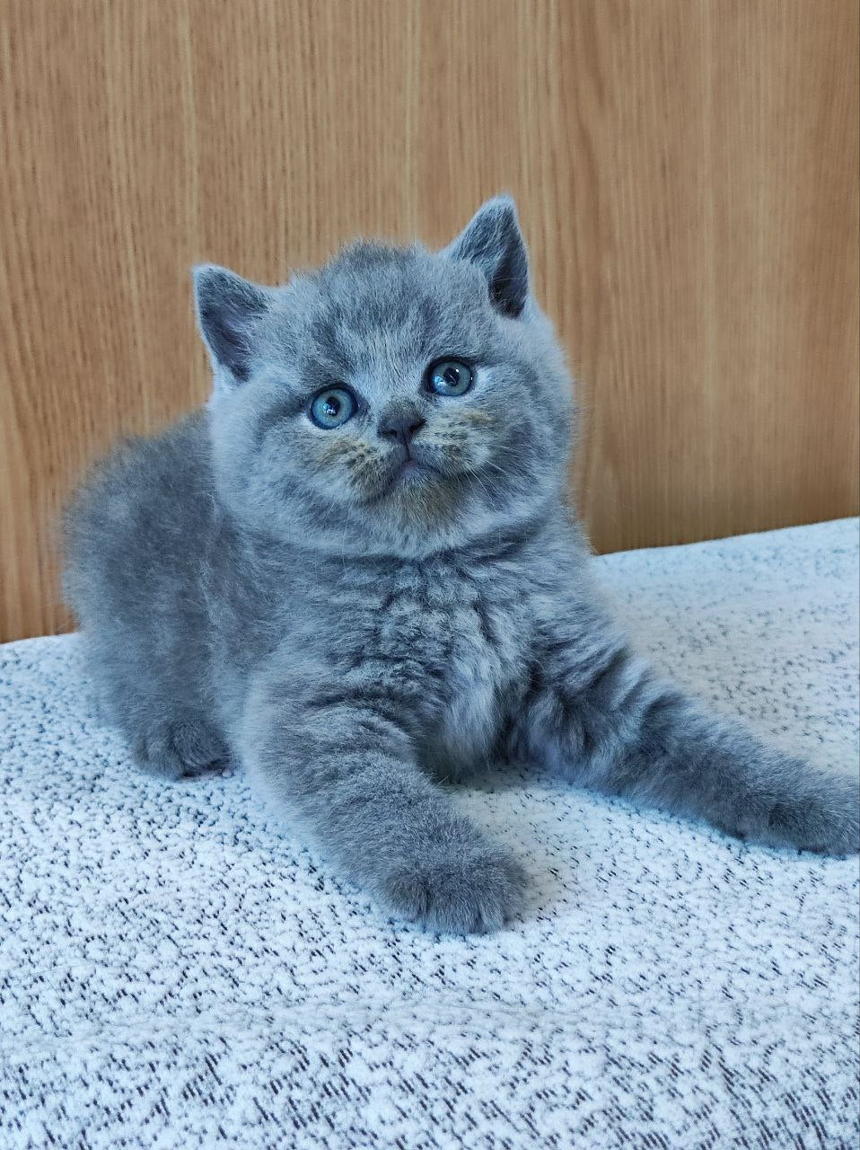 Barbara