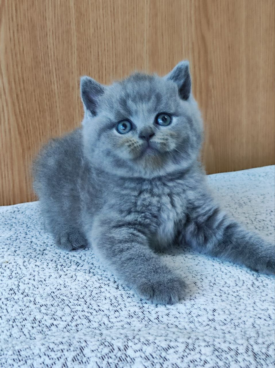 Barbara