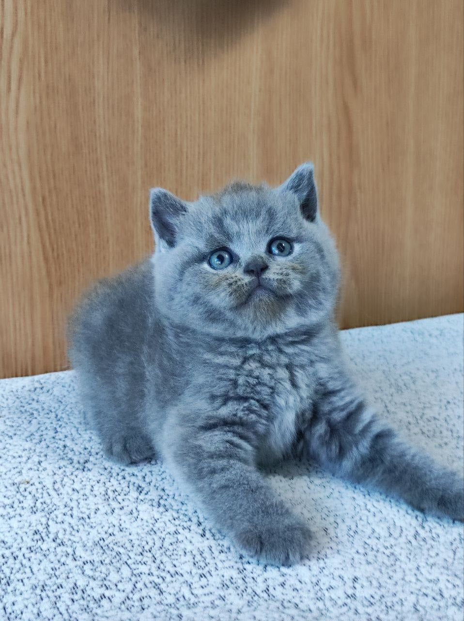 Barbara