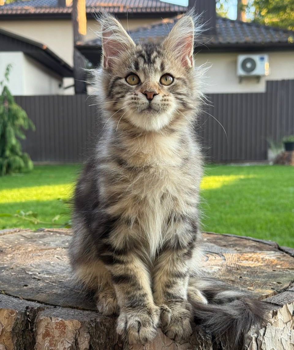 Baron