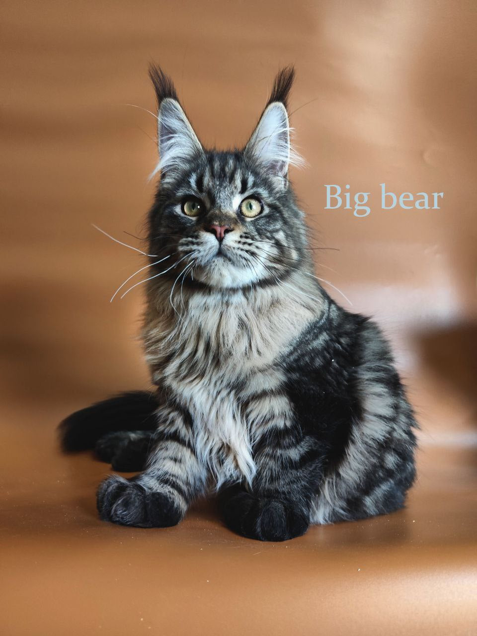 Big Bear