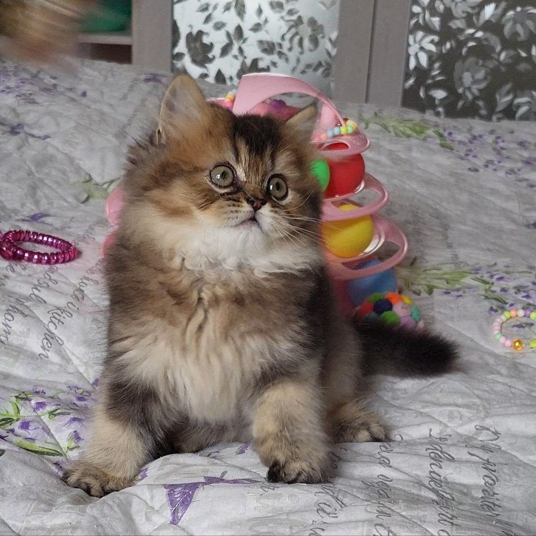 Tonya