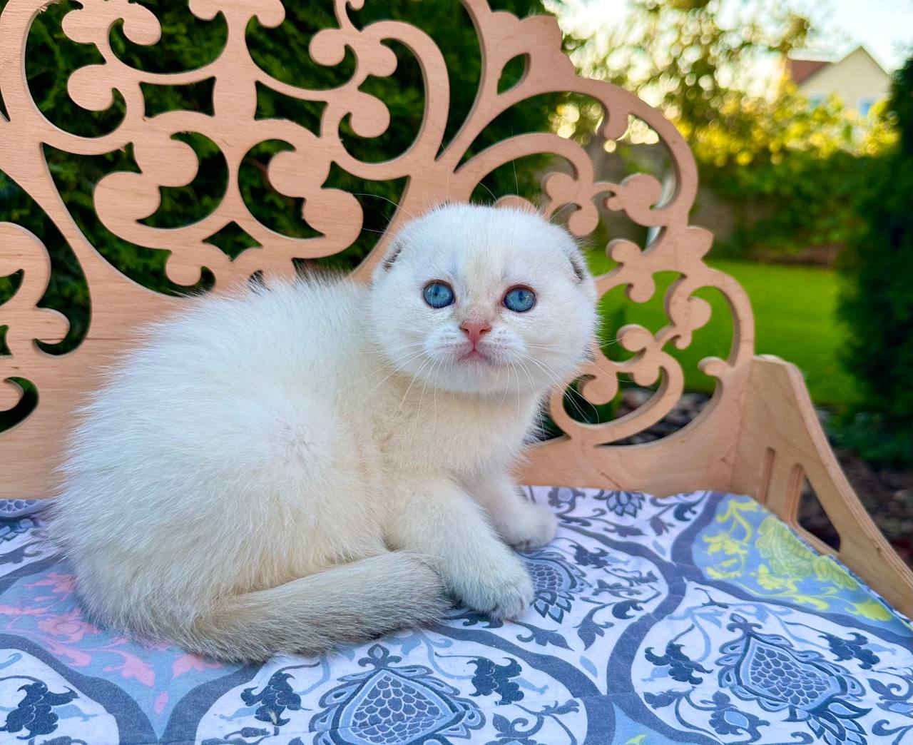 Cloud