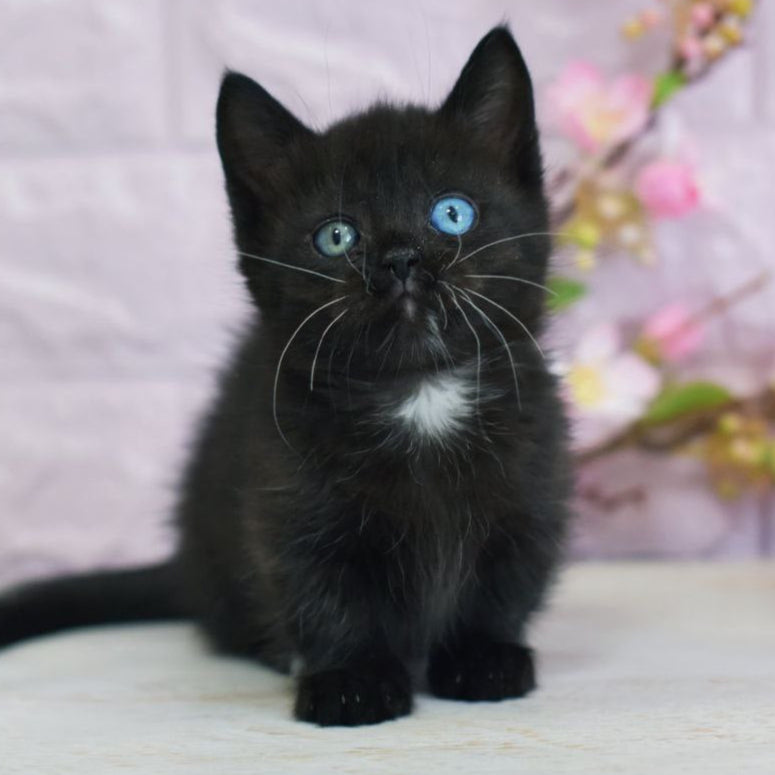 Luna