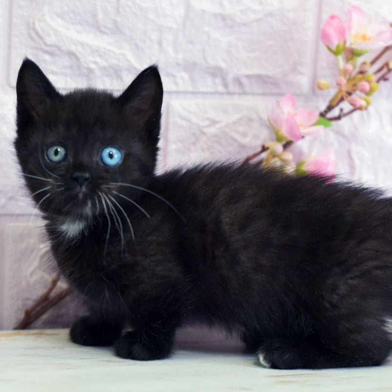 Luna