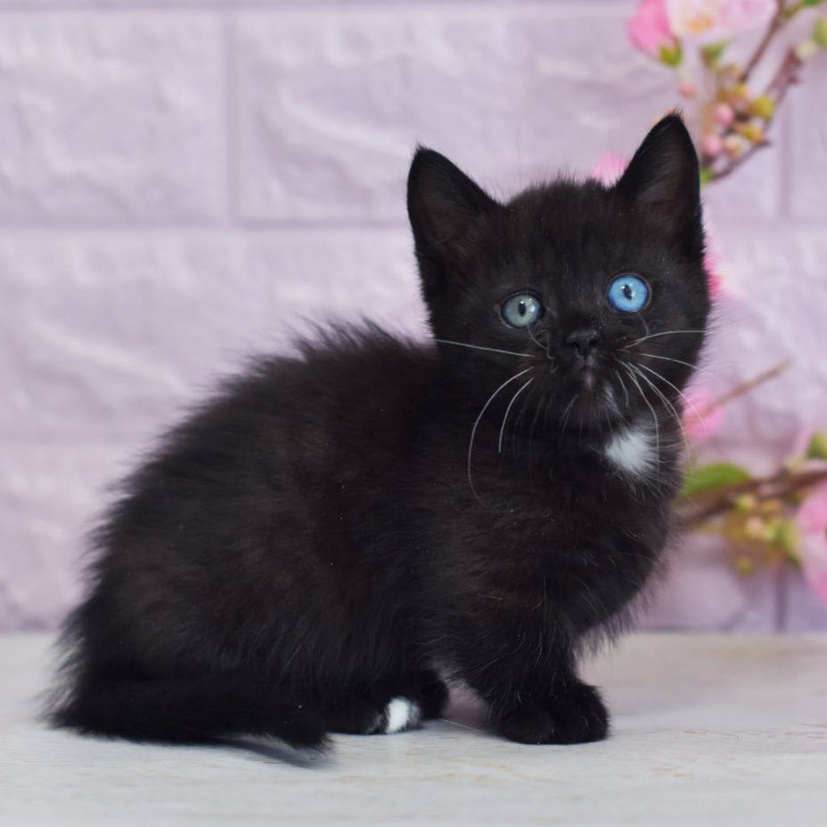 Luna