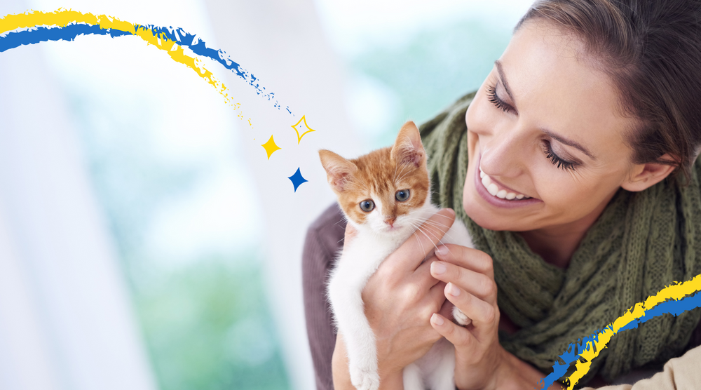 The Purrfect Companion: The Many Benefits of Owning a Cat