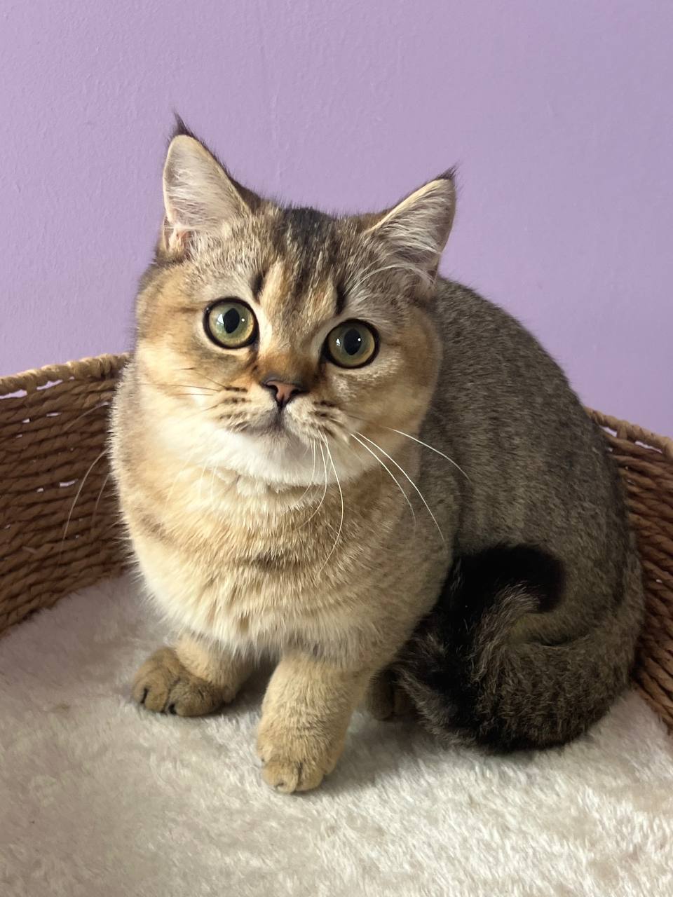 
                  
                    Emmi
                  
                