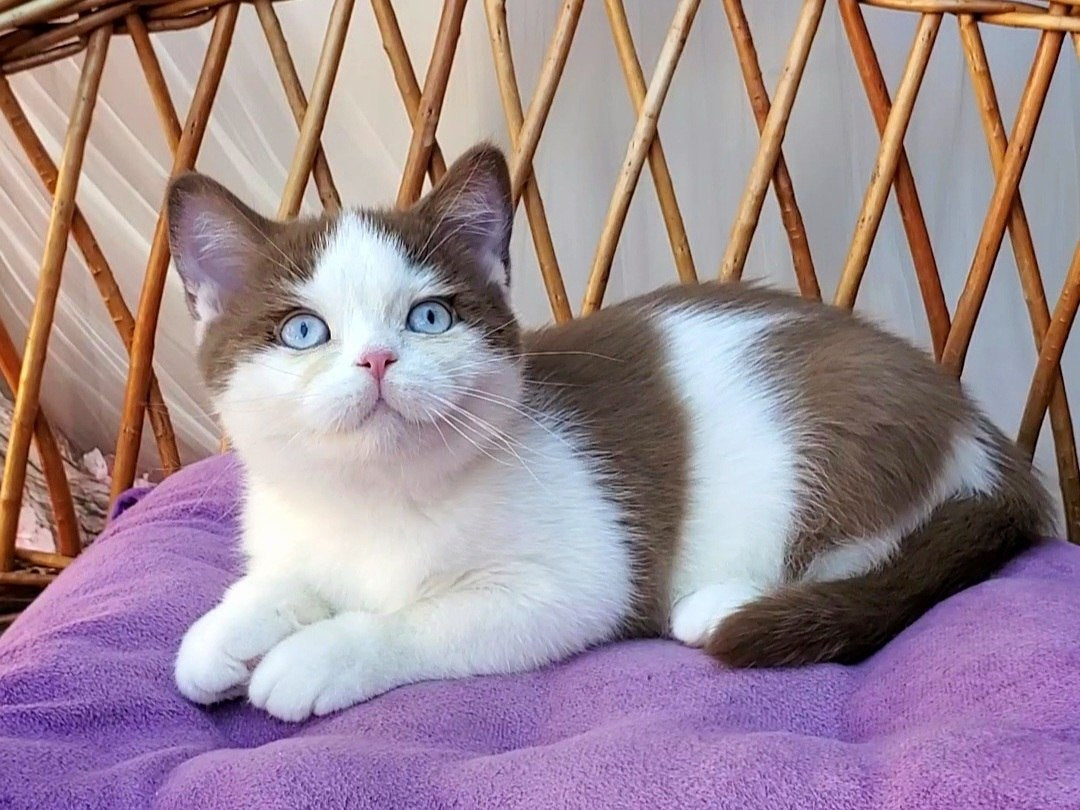 
                  
                    Steven
                  
                