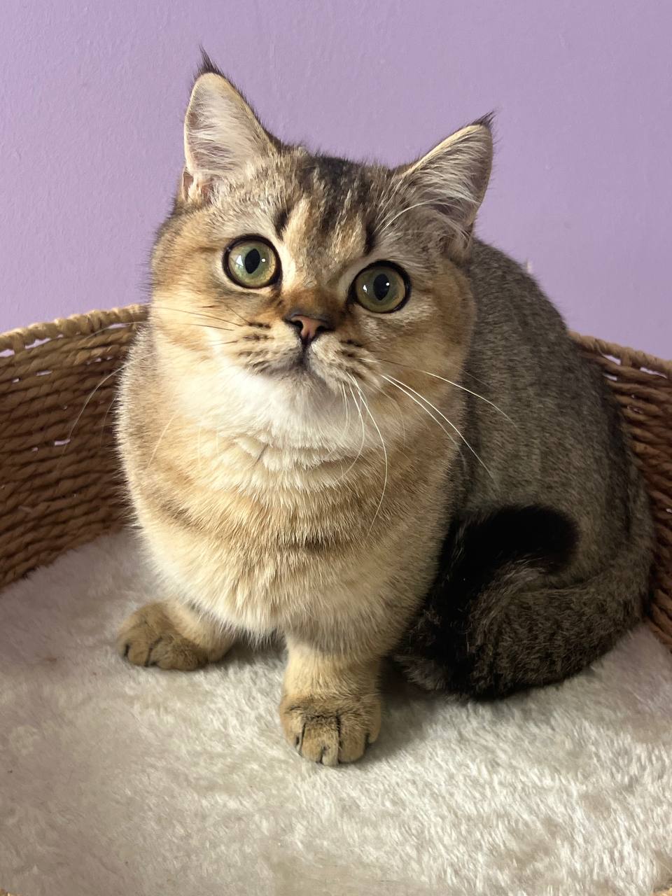 
                  
                    Emmi
                  
                