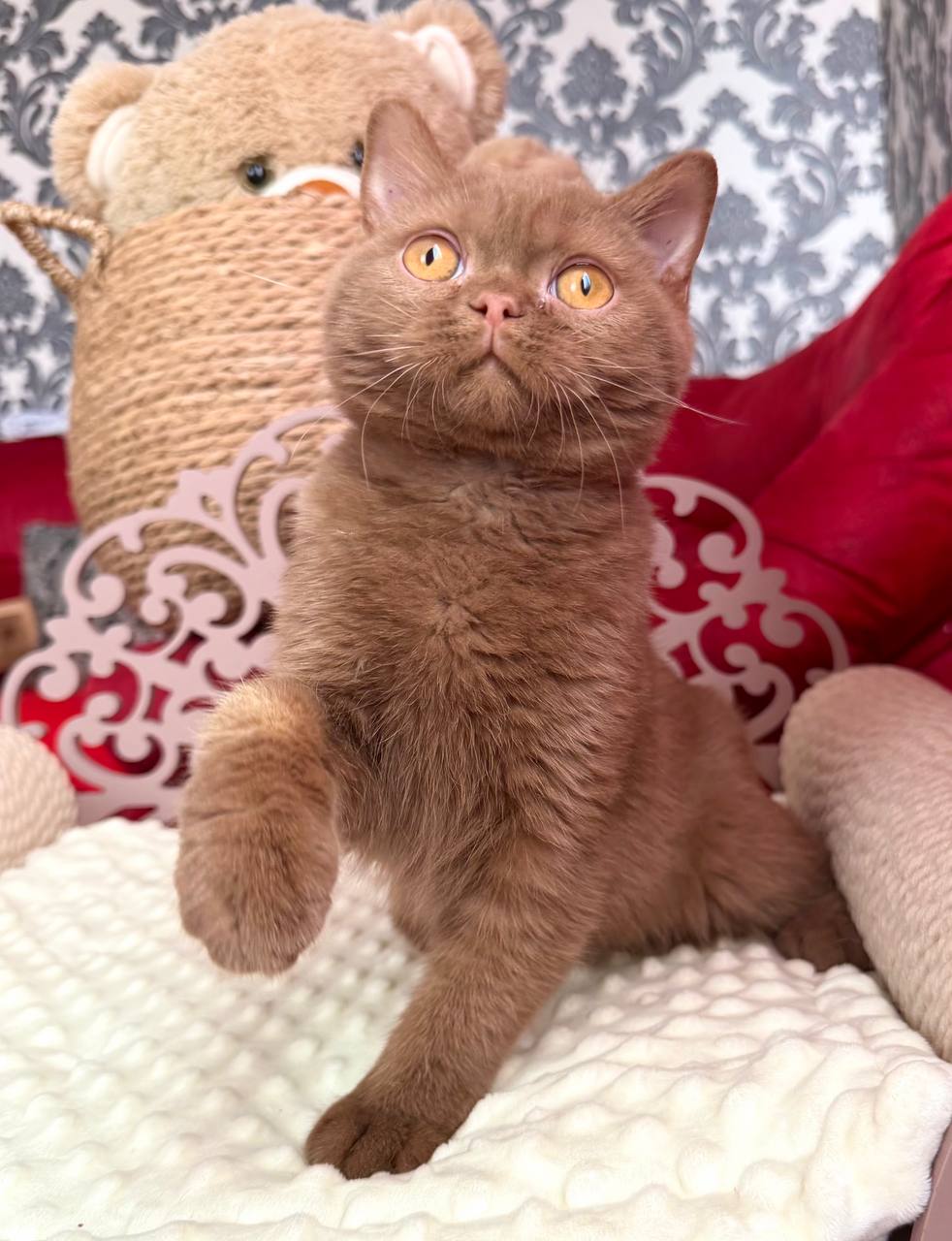 
                  
                    Ming
                  
                