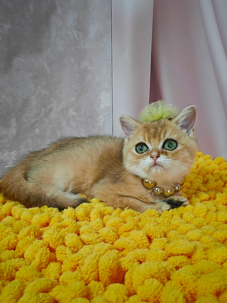 
                  
                    Kiara
                  
                