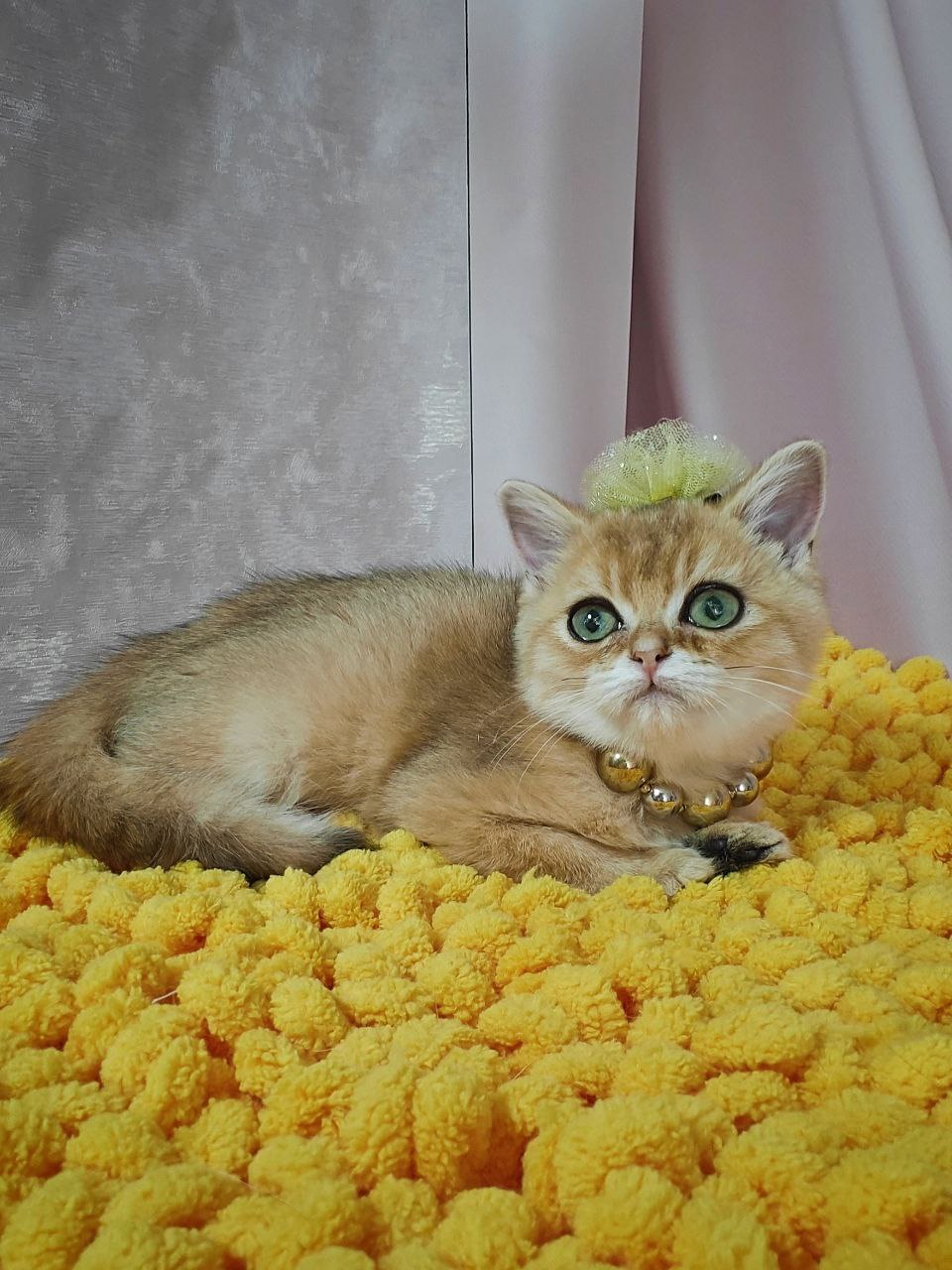 
                  
                    Kiara
                  
                