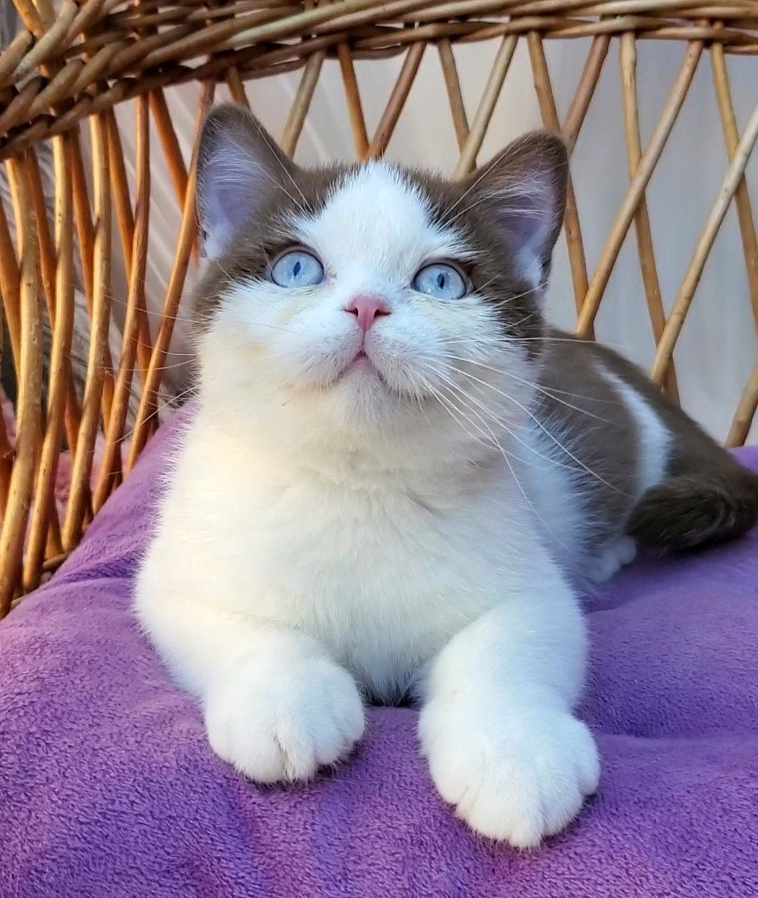 
                  
                    Steven
                  
                