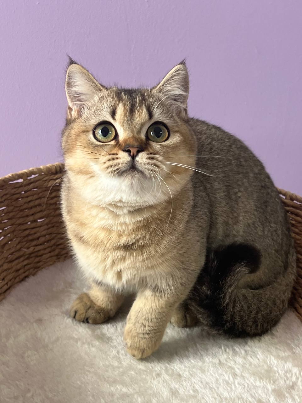 
                  
                    Emmi
                  
                