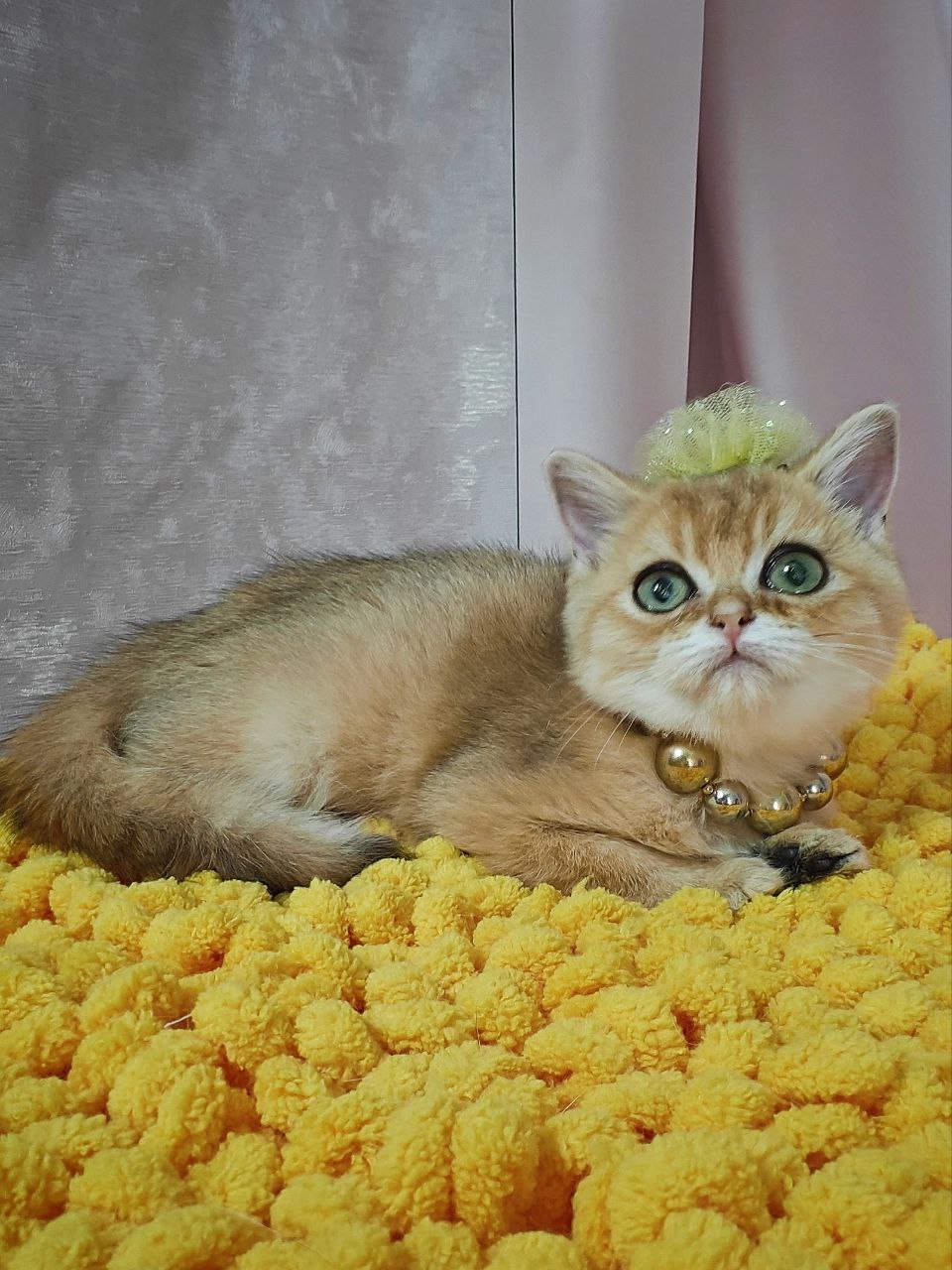 
                  
                    Kiara
                  
                