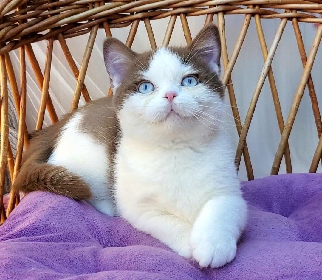 
                  
                    Steven
                  
                