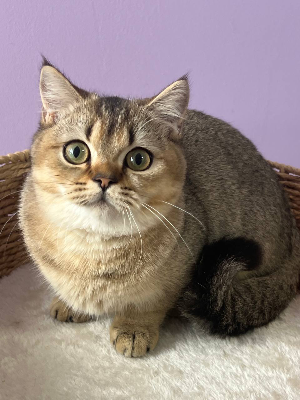 
                  
                    Emmi
                  
                