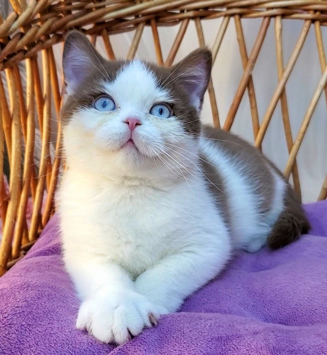 
                  
                    Steven
                  
                