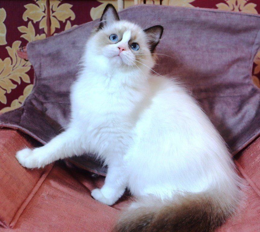 
                  
                    Una
                  
                