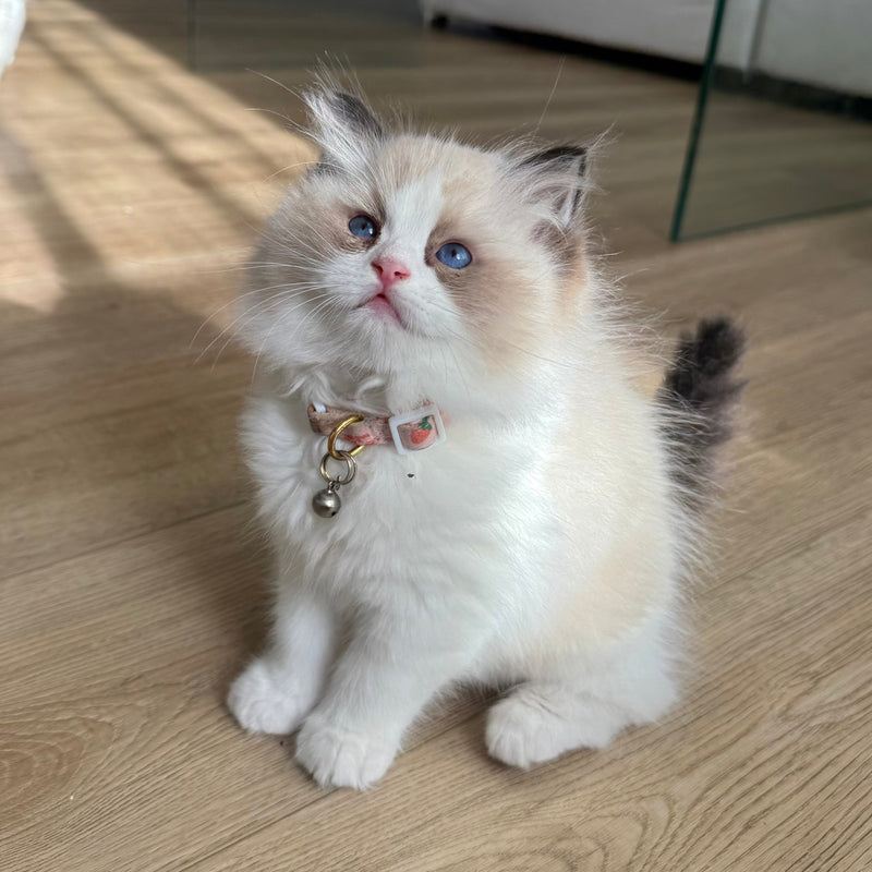 Luna
