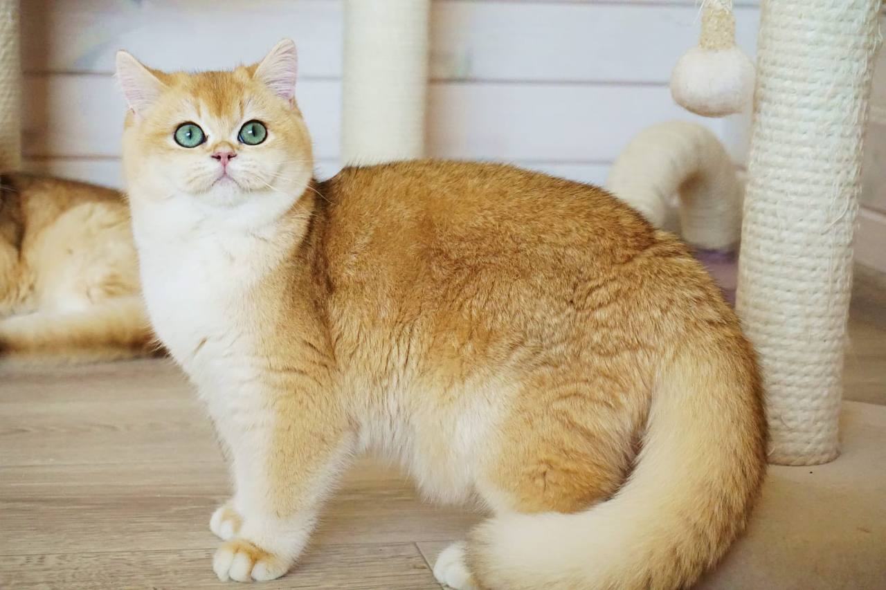 
                  
                    Navi
                  
                