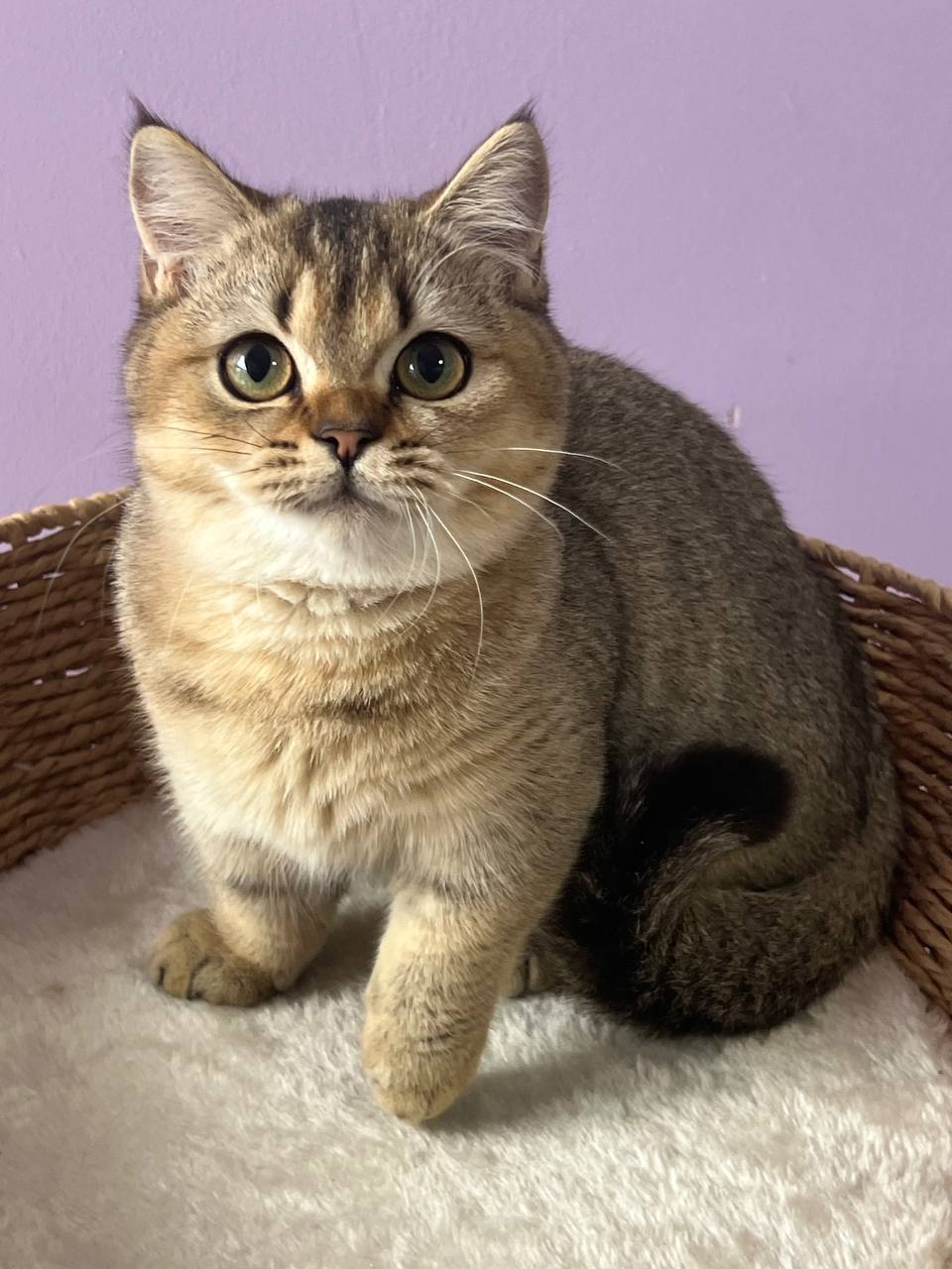 
                  
                    Emmi
                  
                