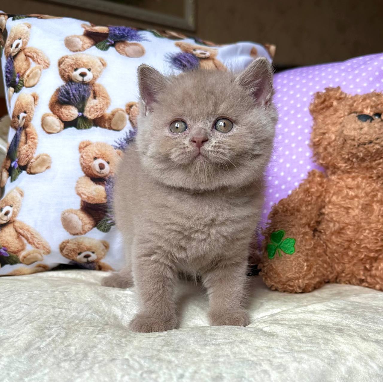 
                  
                    Alan
                  
                