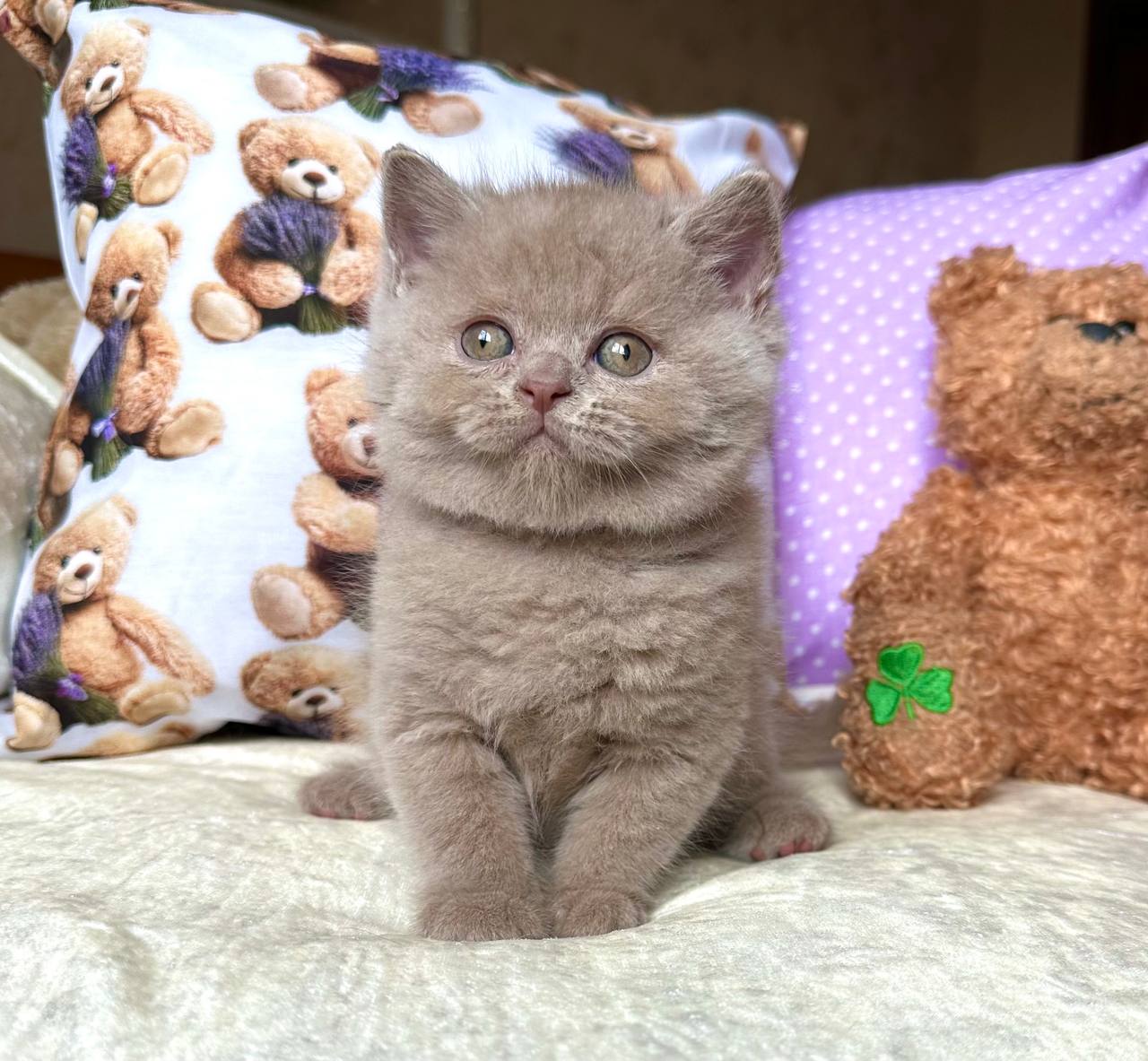 
                  
                    Alan
                  
                