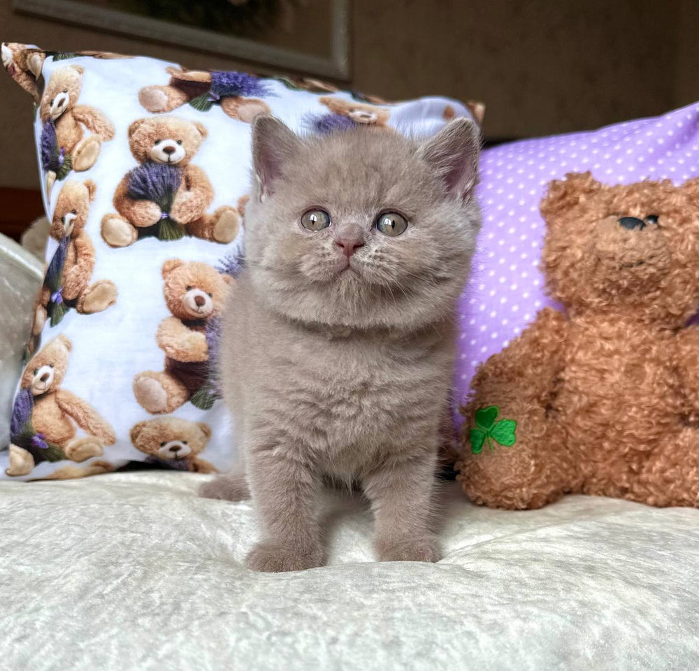 
                  
                    Alan
                  
                