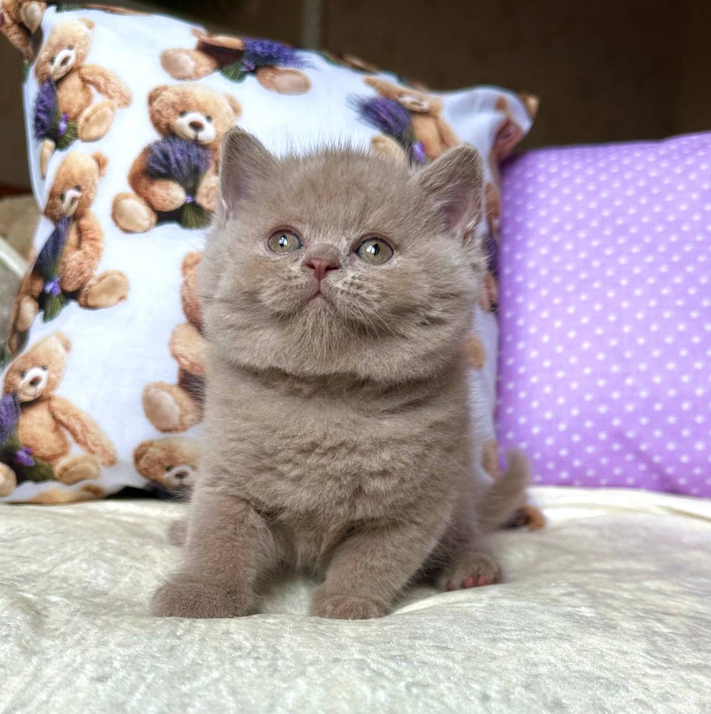 
                  
                    Alan
                  
                