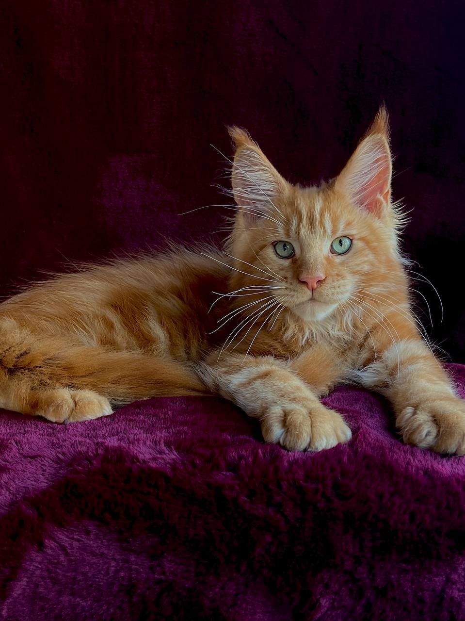 
                  
                    Eddie
                  
                