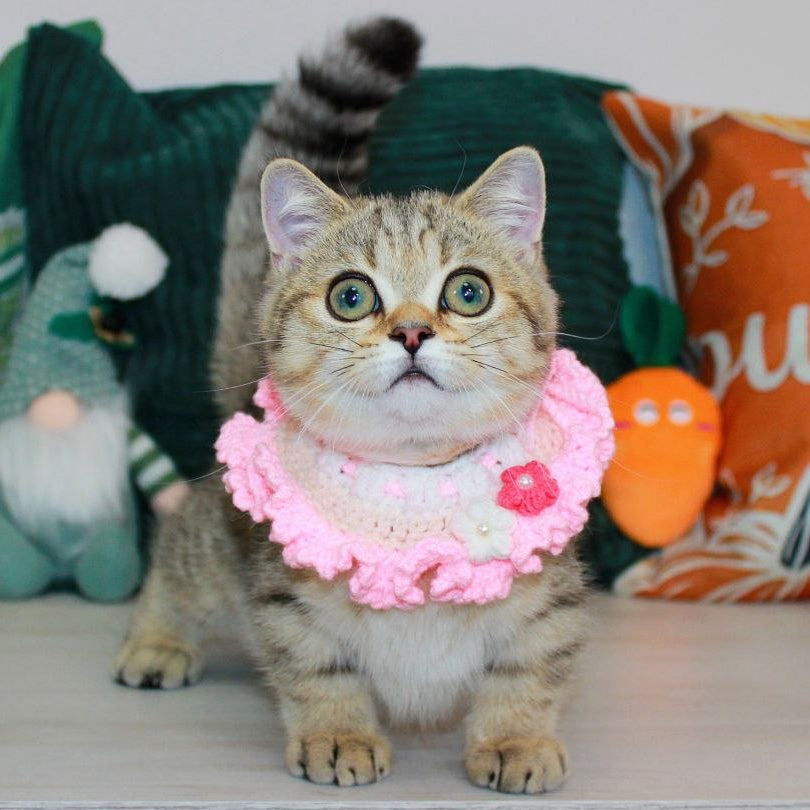 
                  
                    Kiara
                  
                