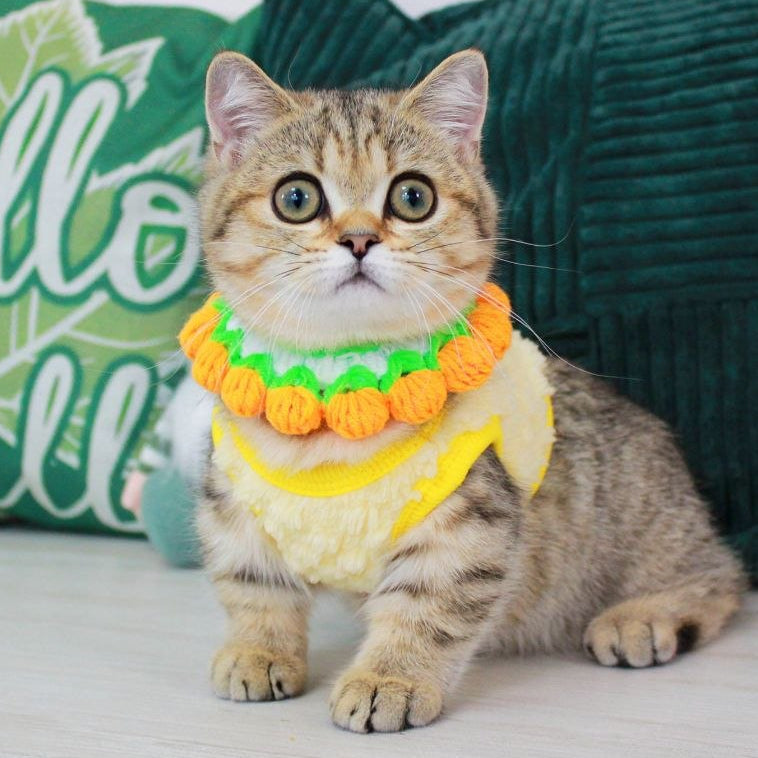 
                  
                    Kiara
                  
                